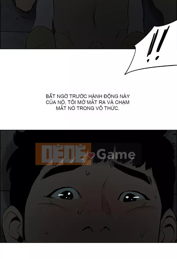 Giấc mộng đêm hè Chương 52-53