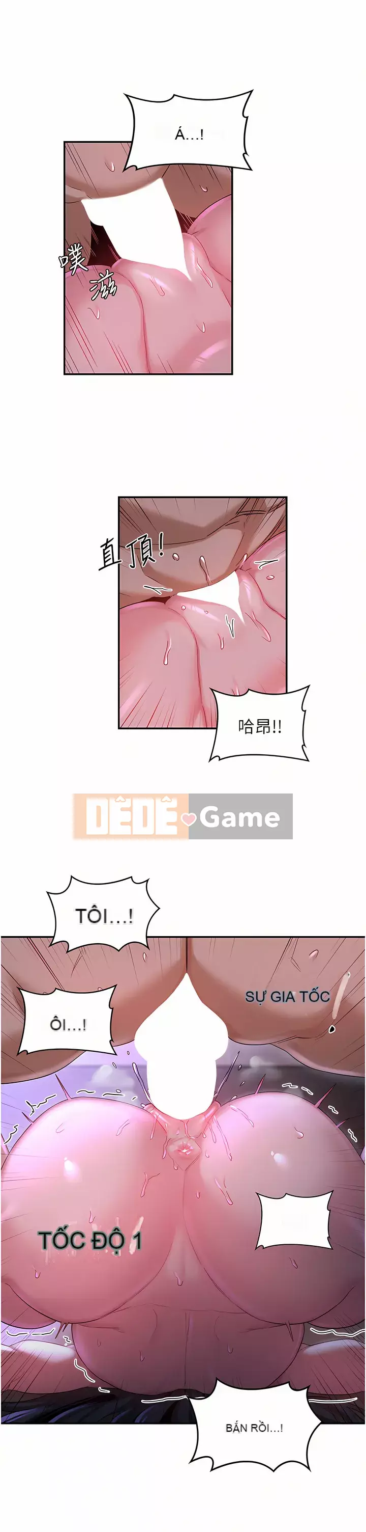 Họp trao đổi chuyên sâu Chương 54-55