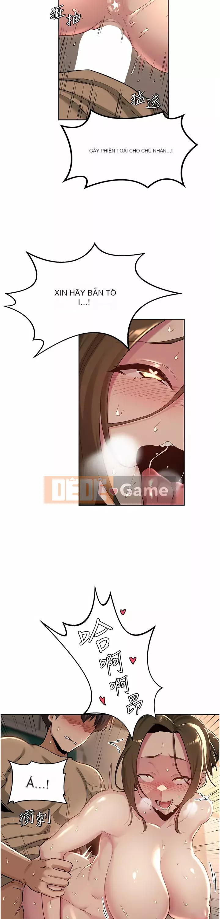 Họp trao đổi chuyên sâu Chương 40-41