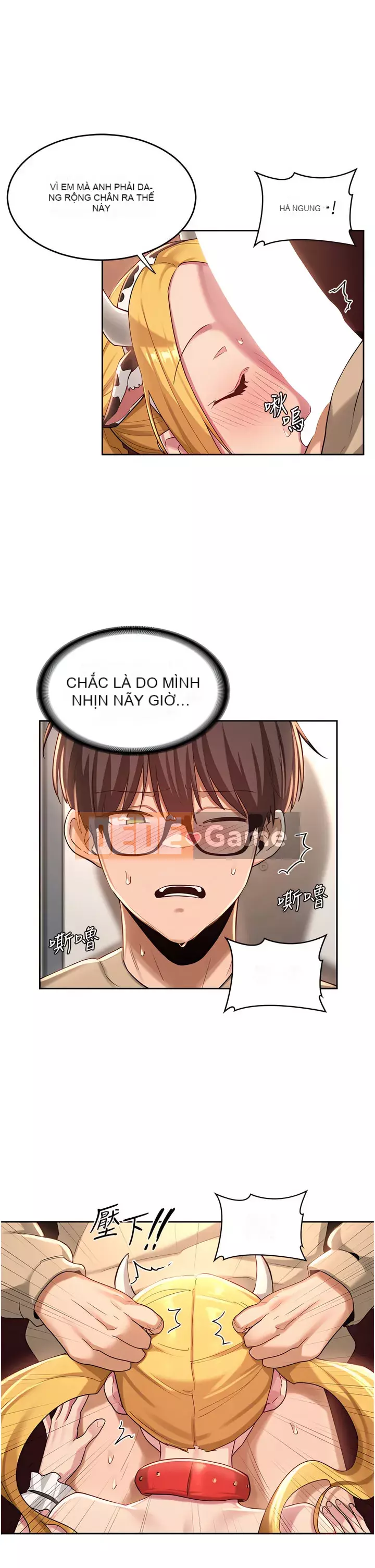 Họp trao đổi chuyên sâu Chương 36-37