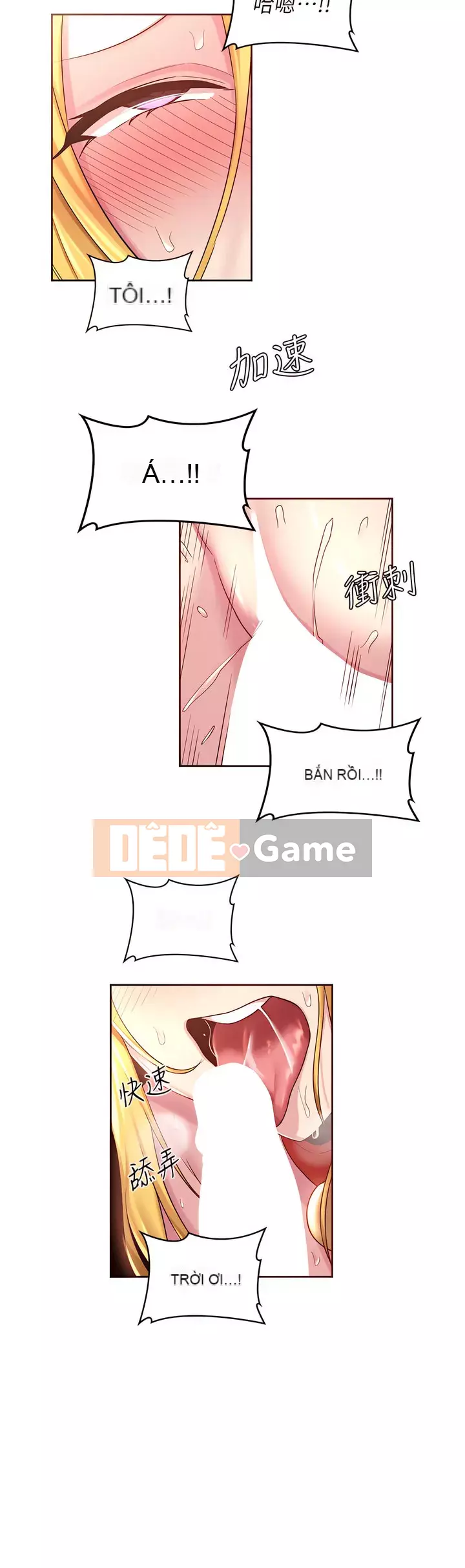 Họp trao đổi chuyên sâu Chương 38-39