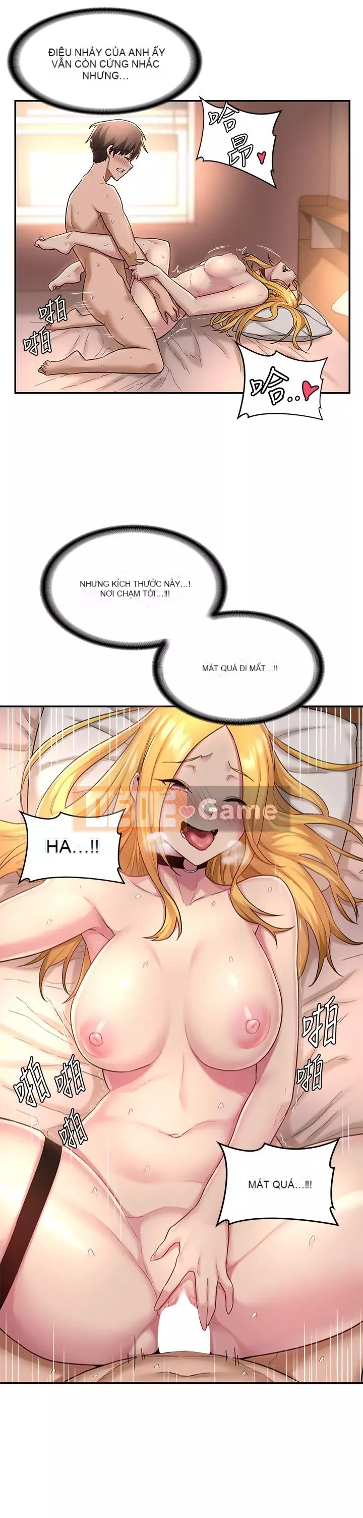 Họp trao đổi chuyên sâu Chương 12-13