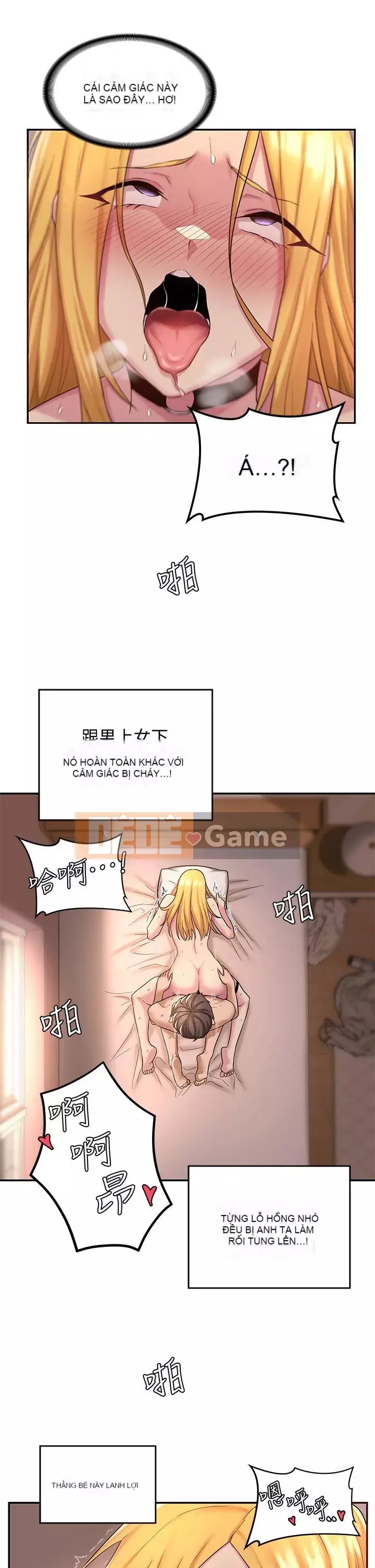 Họp trao đổi chuyên sâu Chương 12-13