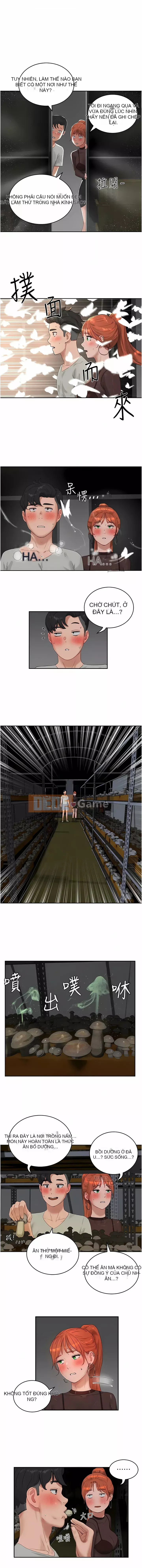 Mùa hè sâu Chương 43-44