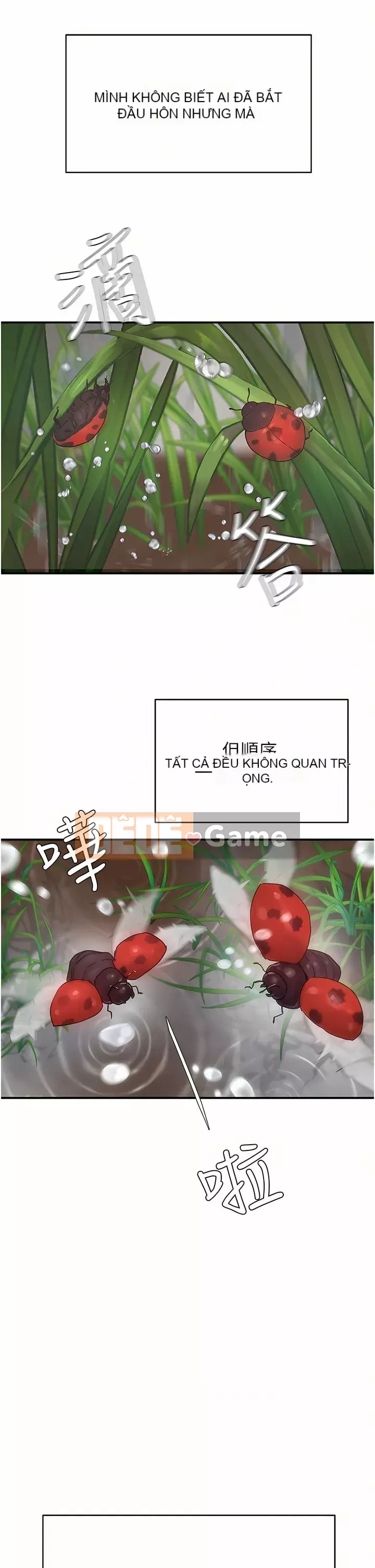 Mùa hè sâu Chương 28-30