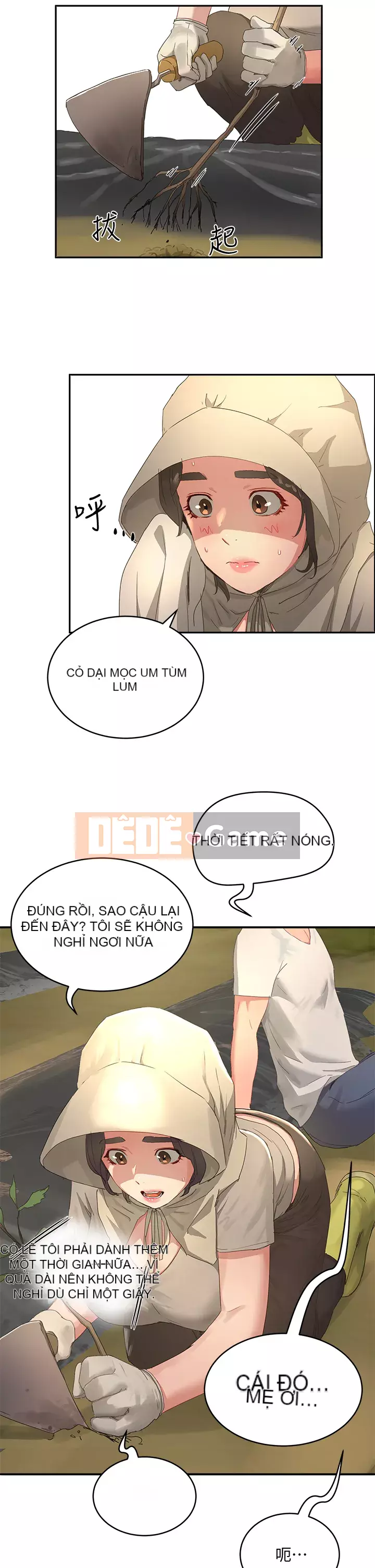 Mùa hè sâu Chương 27