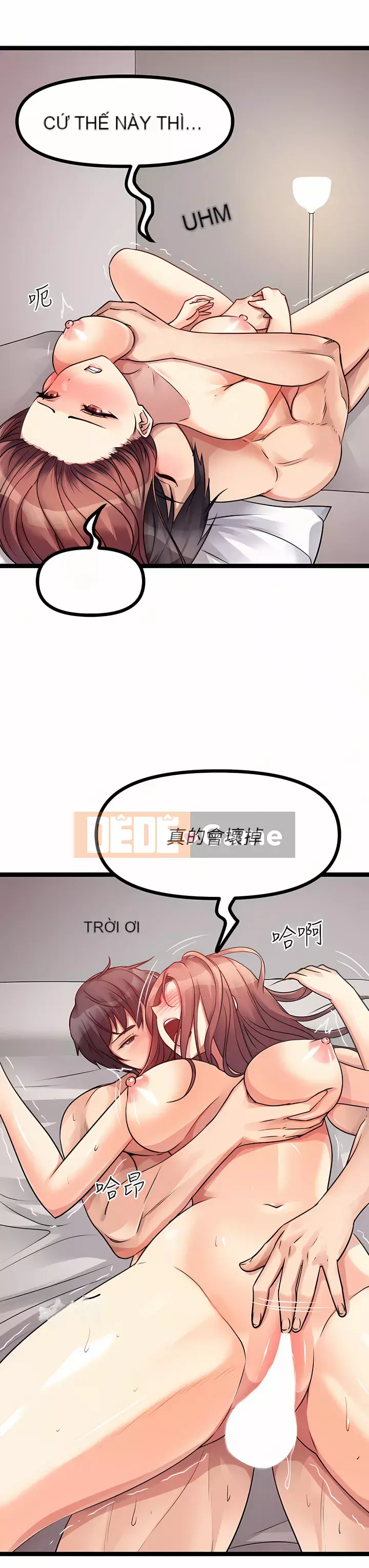 đấu giá ban đầu Chương 27-28