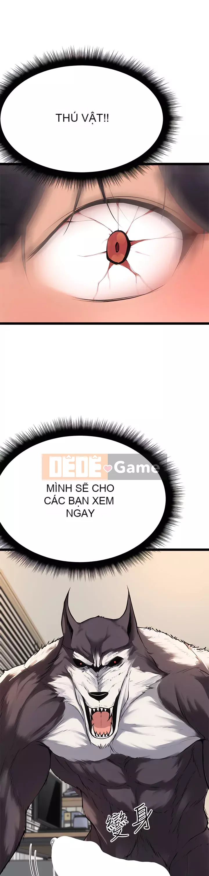 đấu giá ban đầu Chương 1-8