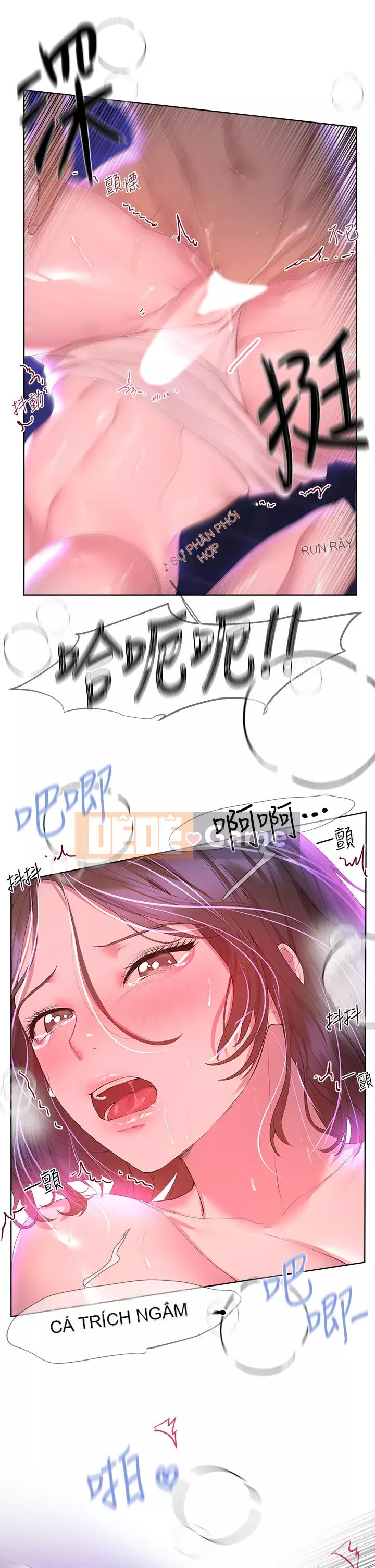 đào tạo chị em Chương 38-39