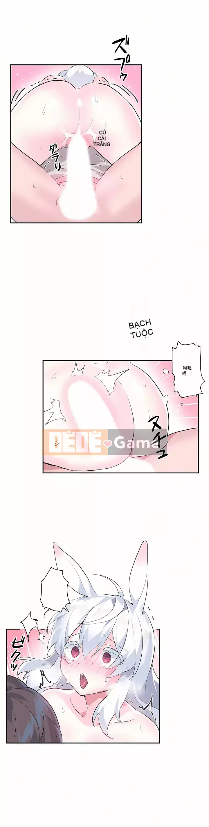 Love Love Wonderland Phần 1 Chương 1-25