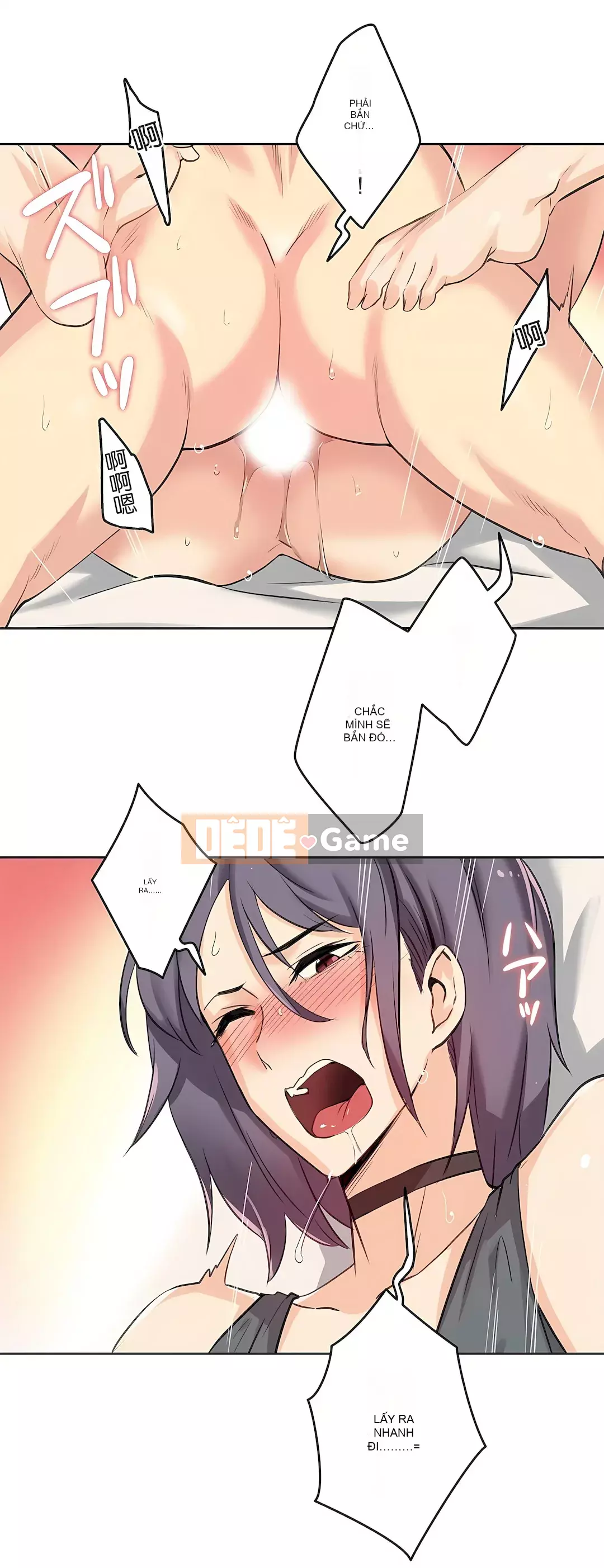 Bộ phận đại lý Chương 1-81