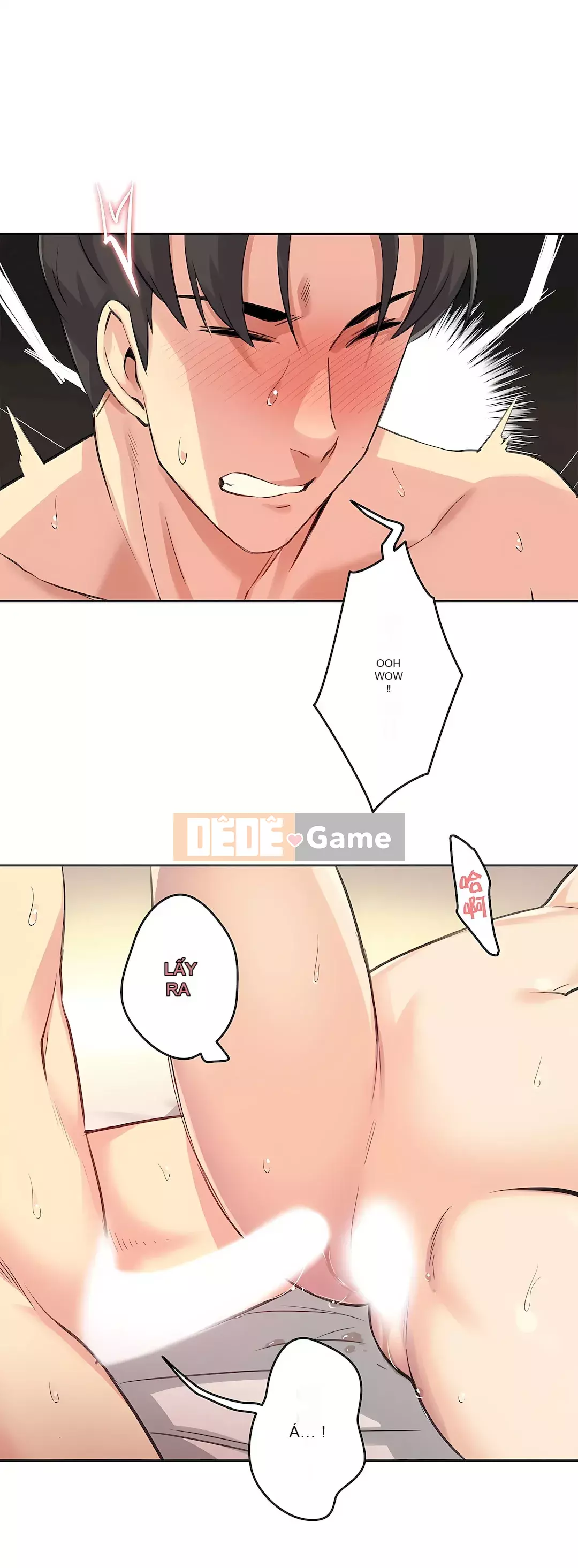 Bộ phận đại lý Chương 1-81