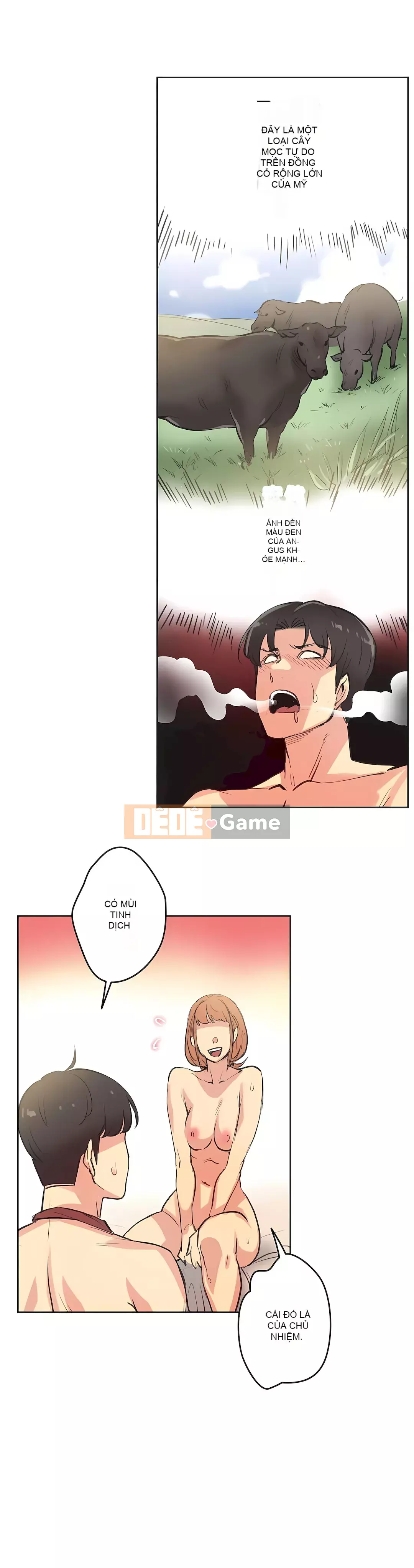 Bộ phận đại lý Chương 1-81