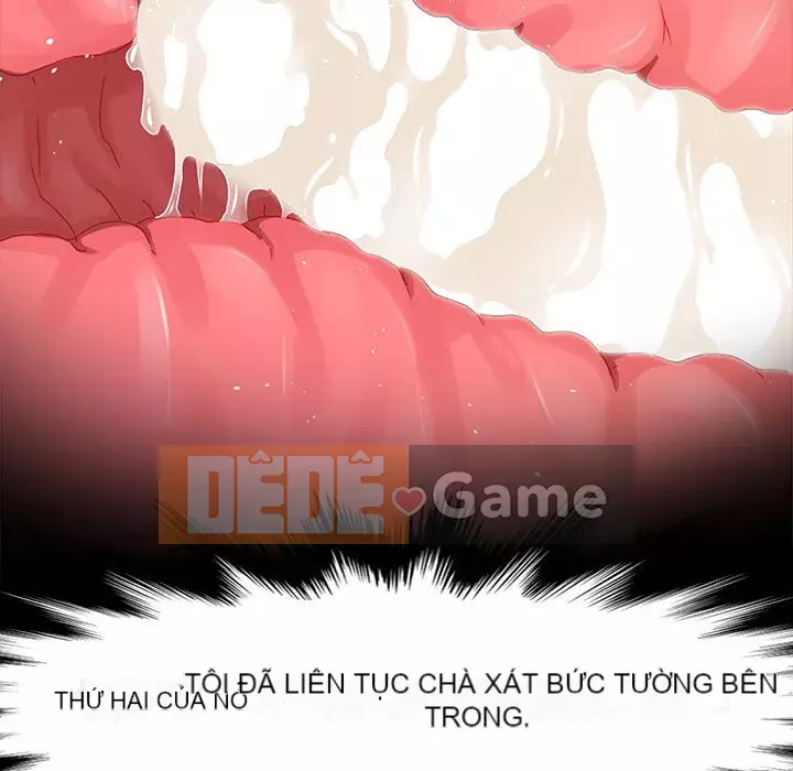 Mô hình rắn lu Chương 15-16