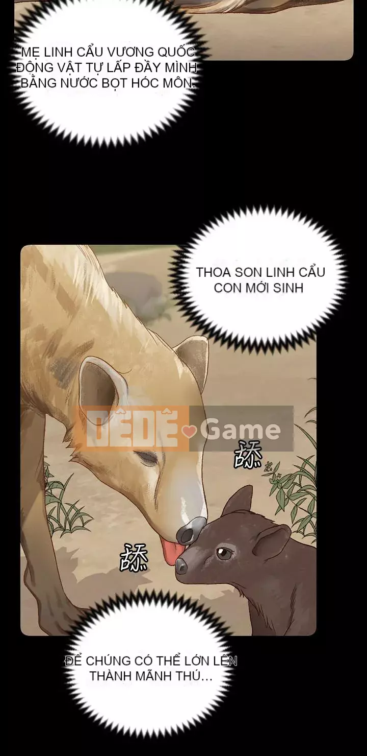 Suite Junior Chào Mừng Chương 1-123