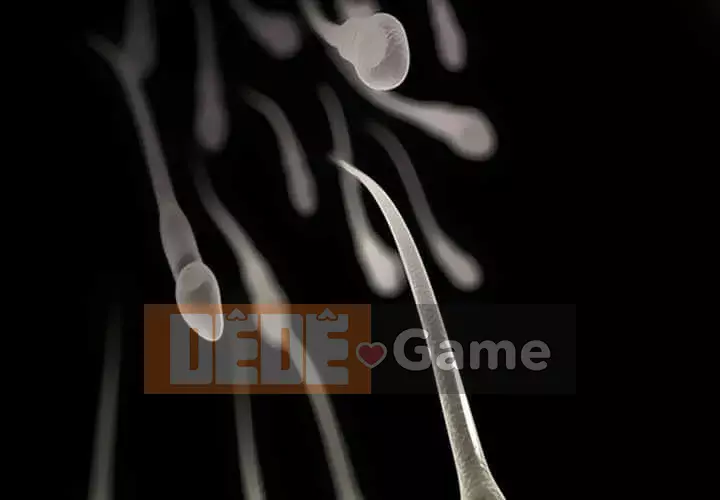 Lạc đường Chương 22-23