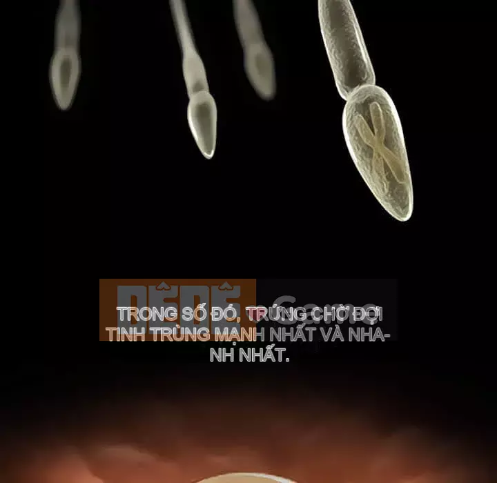 Lạc đường Chương 22-23