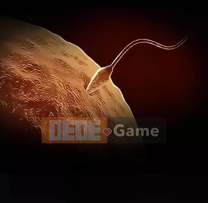 Lạc đường Chương 22-23