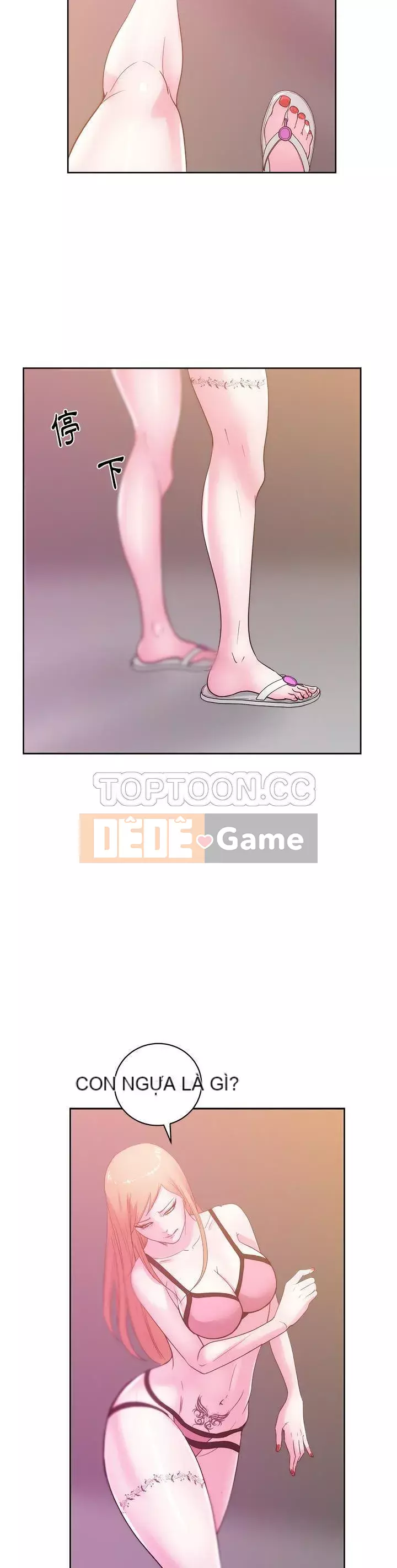 Người yêu câu lạc bộ truyện tranh Chương 1-46