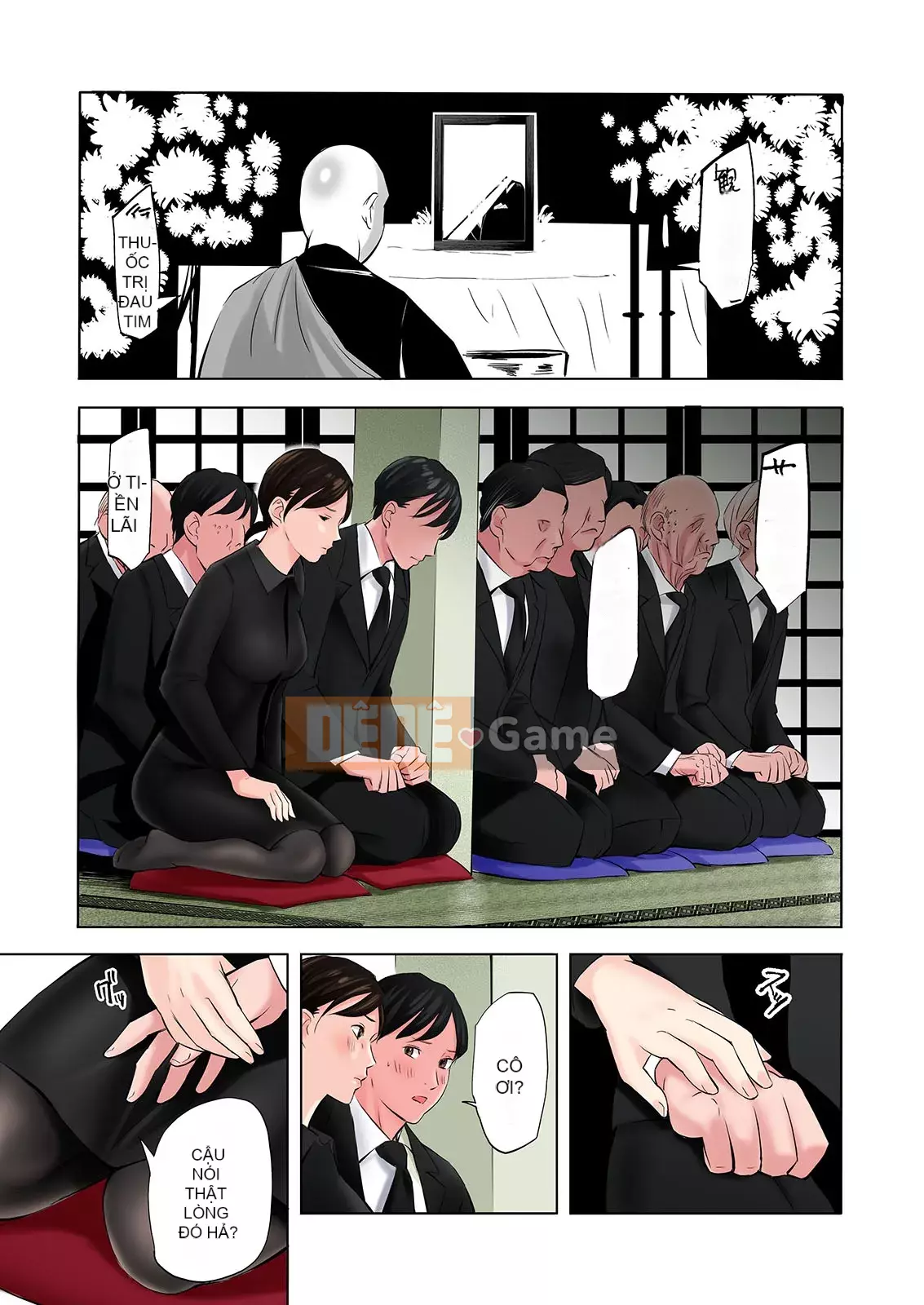 Đây là một cuốn sách khiêu dâm về một góa phụ đang chịu tang.