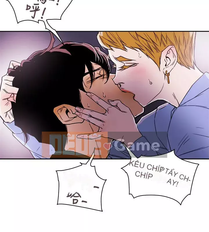 Em yêu - cái bẫy Cái bẫy ngọt ngào Chương 1-102