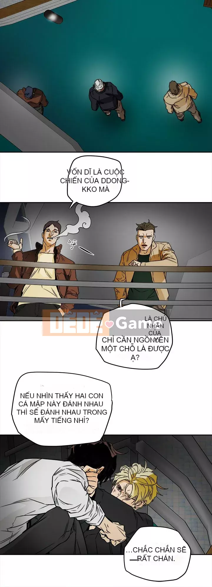 Em yêu - cái bẫy Cái bẫy ngọt ngào Chương 1-102