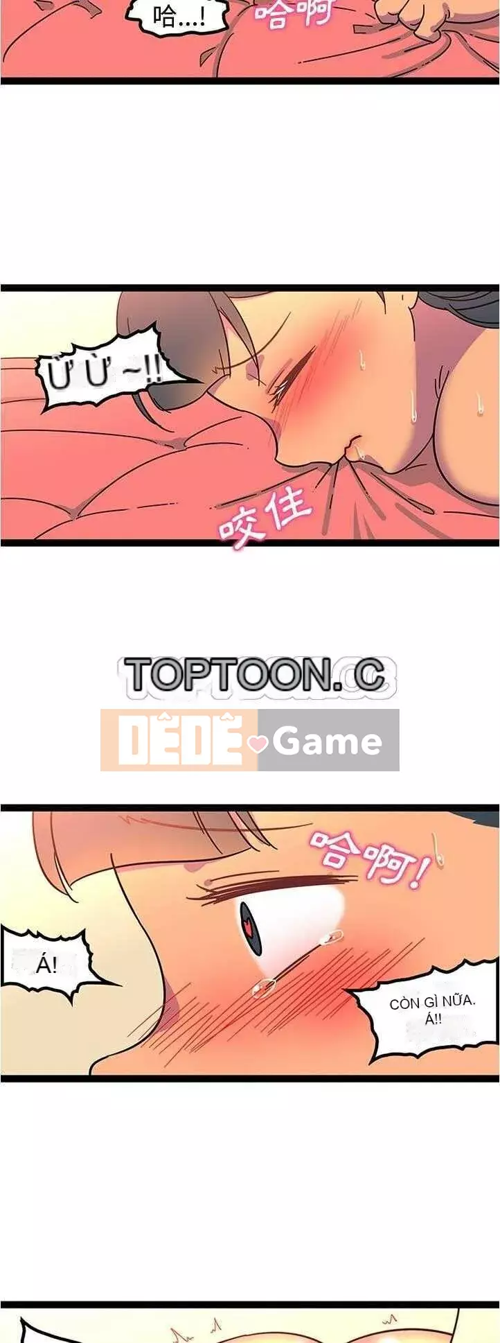 Sản phụ khoa khéo léo Chương 1-50