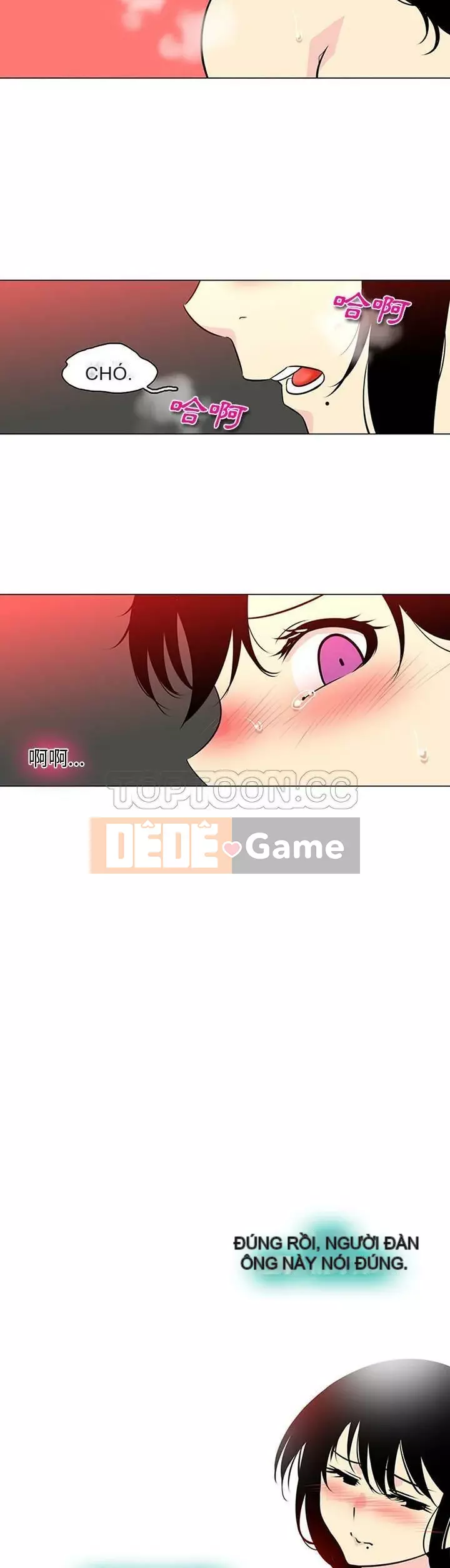 Sản phụ khoa khéo léo Chương 1-50