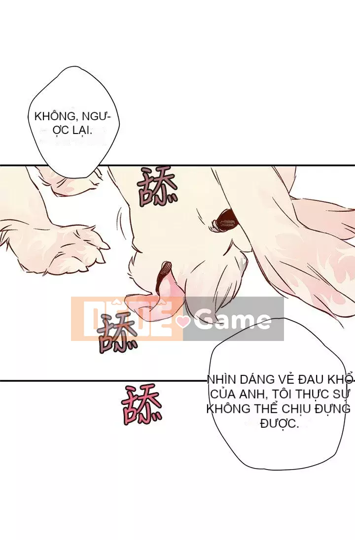 Nhà hát dã chiến Chương 1-13