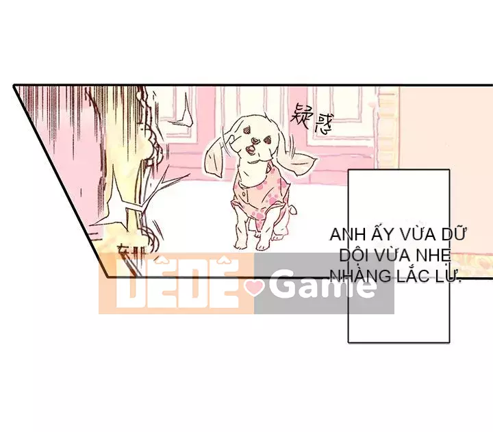 Nhà hát dã chiến Chương 1-13