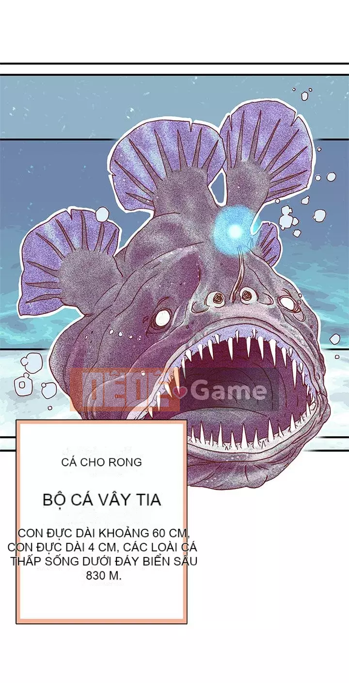 Nhà hát dã chiến Chương 1-13