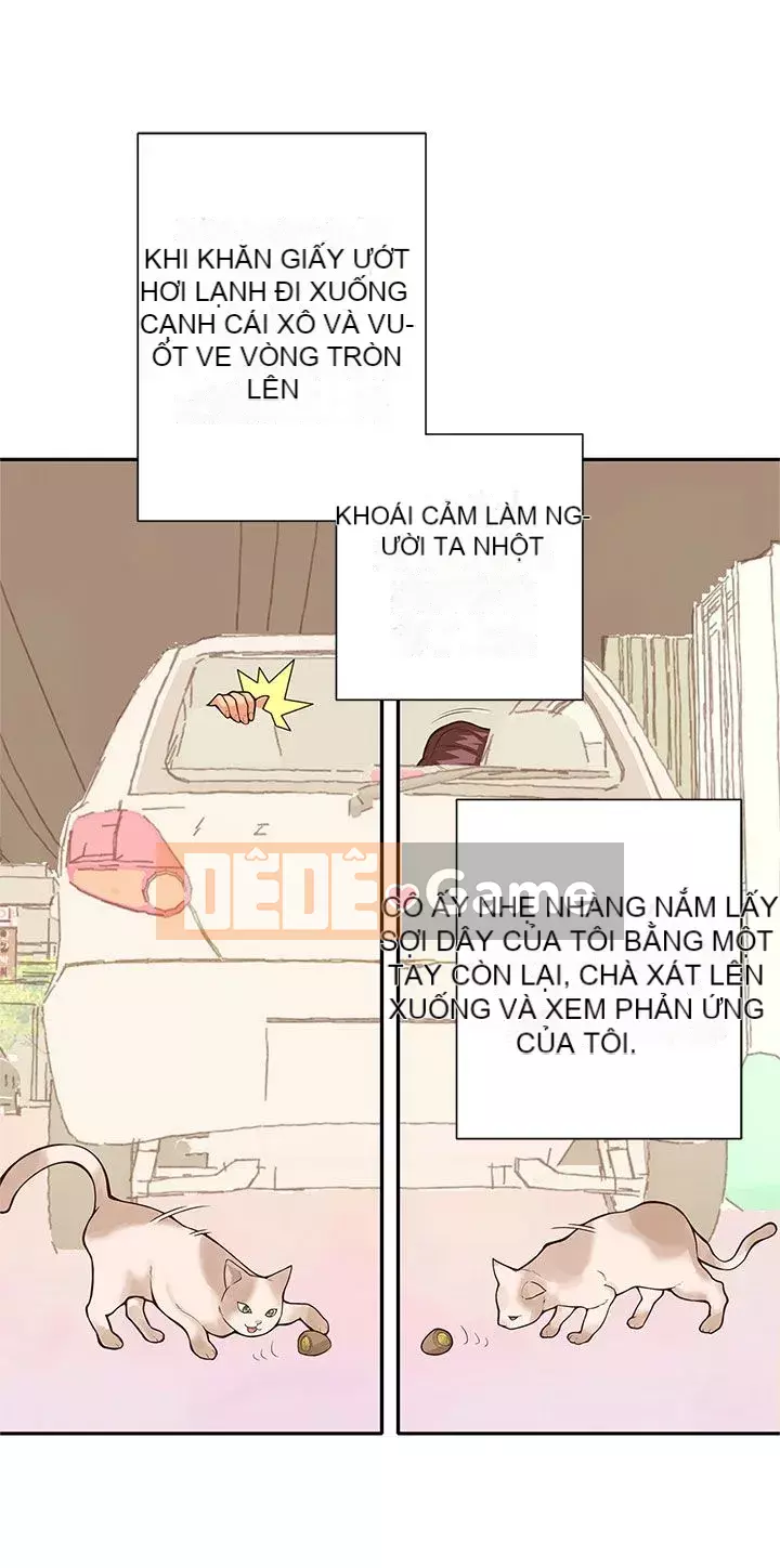 Nhà hát dã chiến Chương 1-13