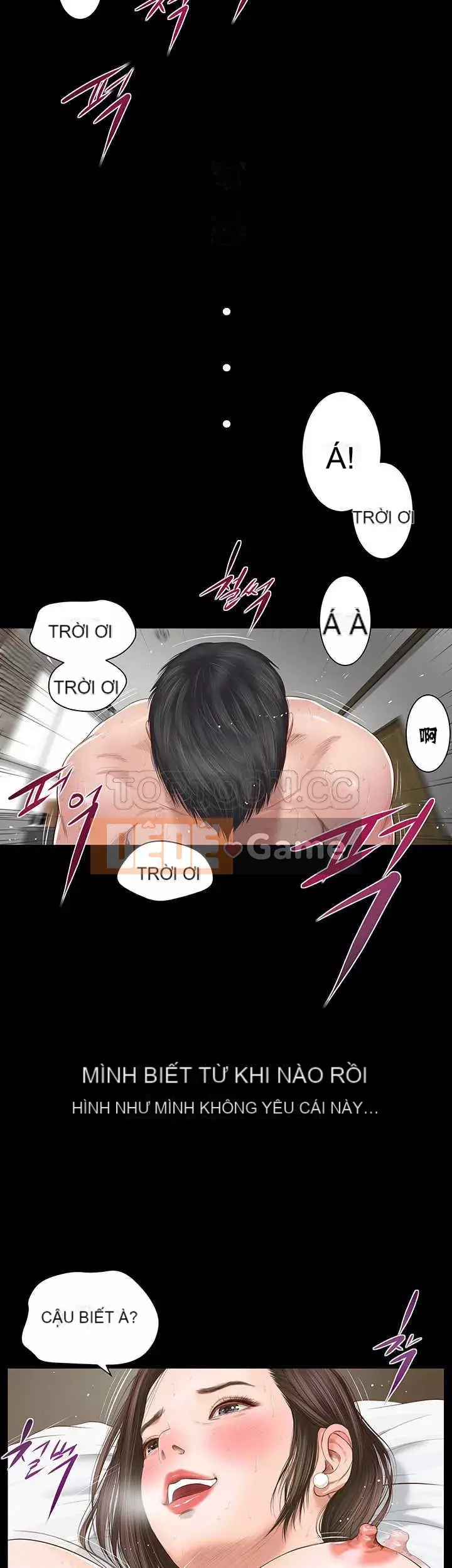 Con mèo đi lạc Chương 1-40