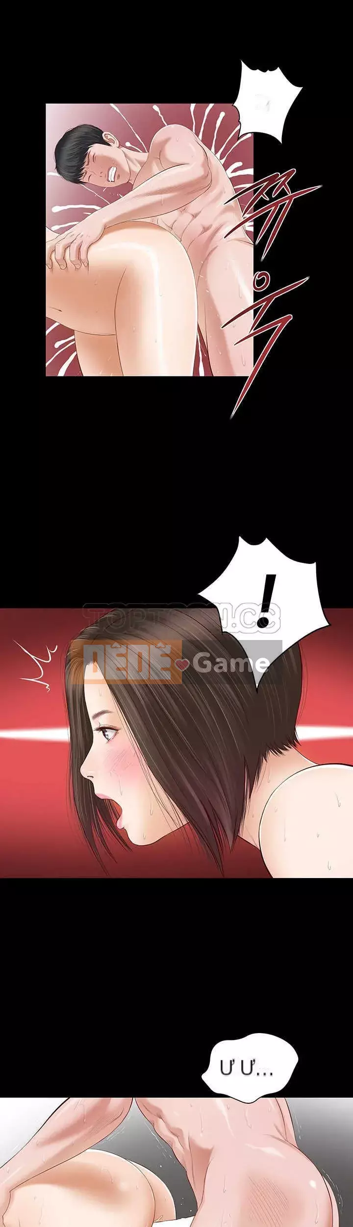 Con mèo đi lạc Chương 1-40