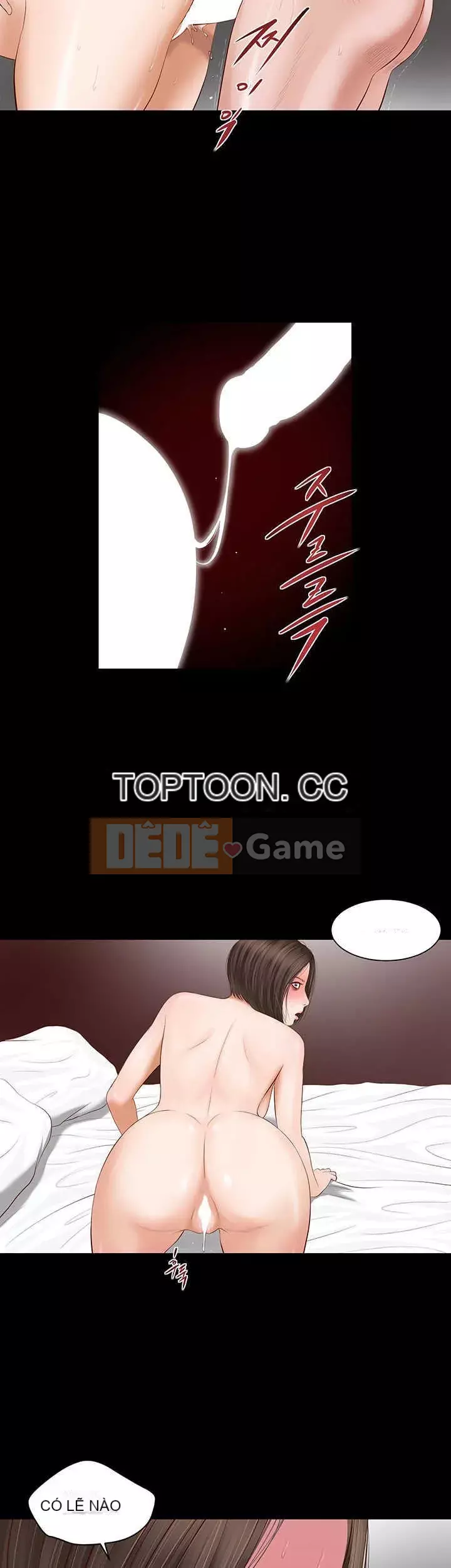 Con mèo đi lạc Chương 1-40