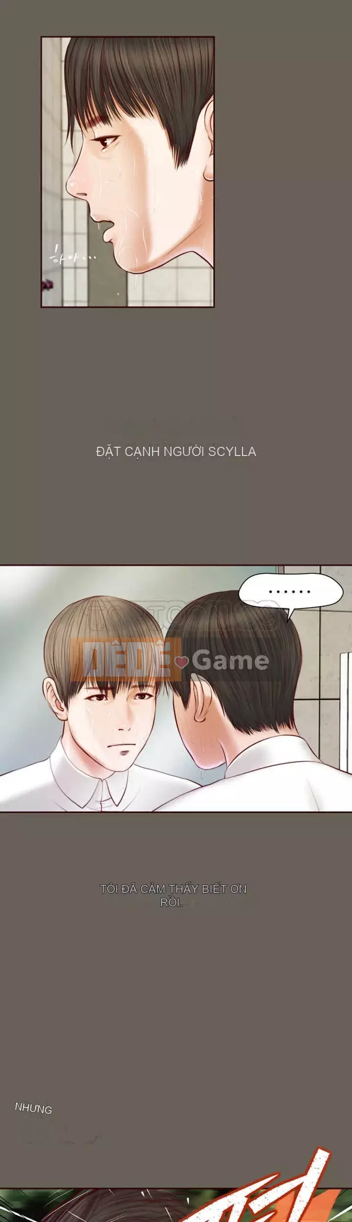 Con mèo đi lạc Chương 1-40