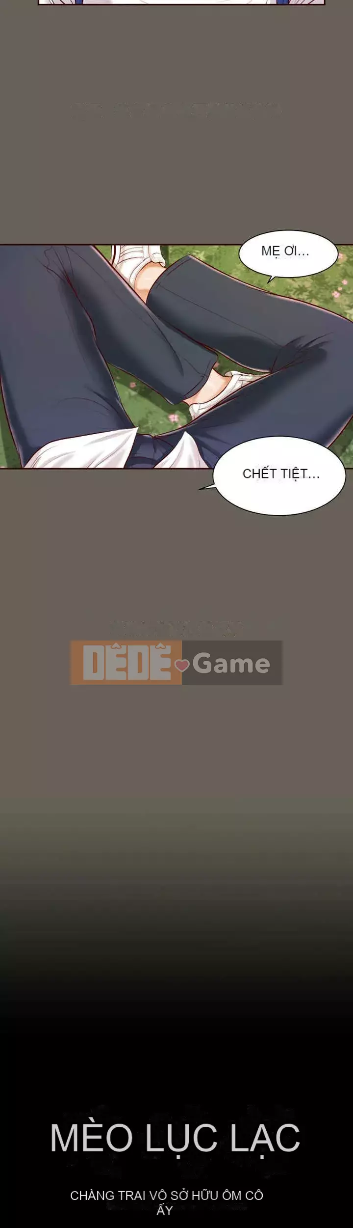 Con mèo đi lạc Chương 1-40