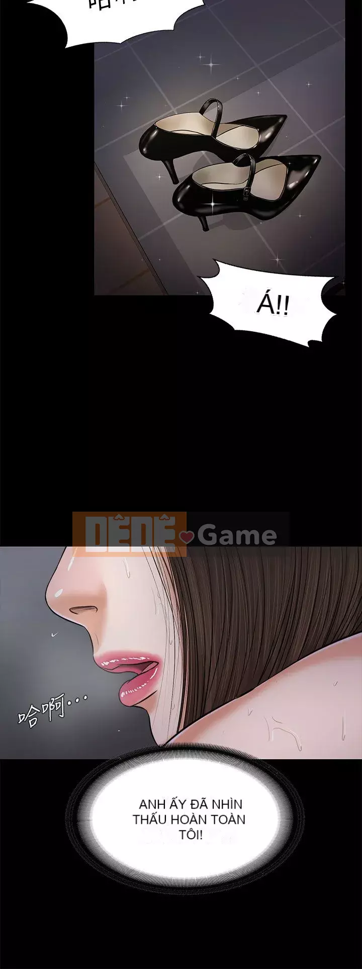 Con mèo đi lạc Chương 1-40