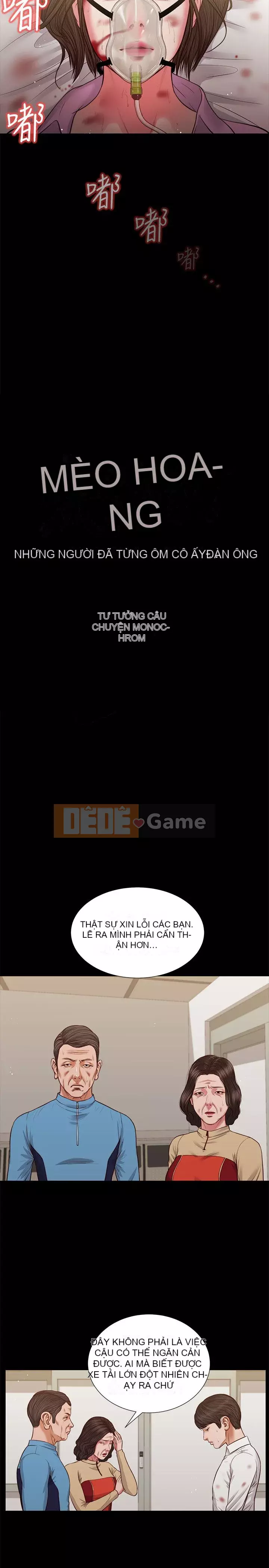 Con mèo đi lạc Chương 1-40