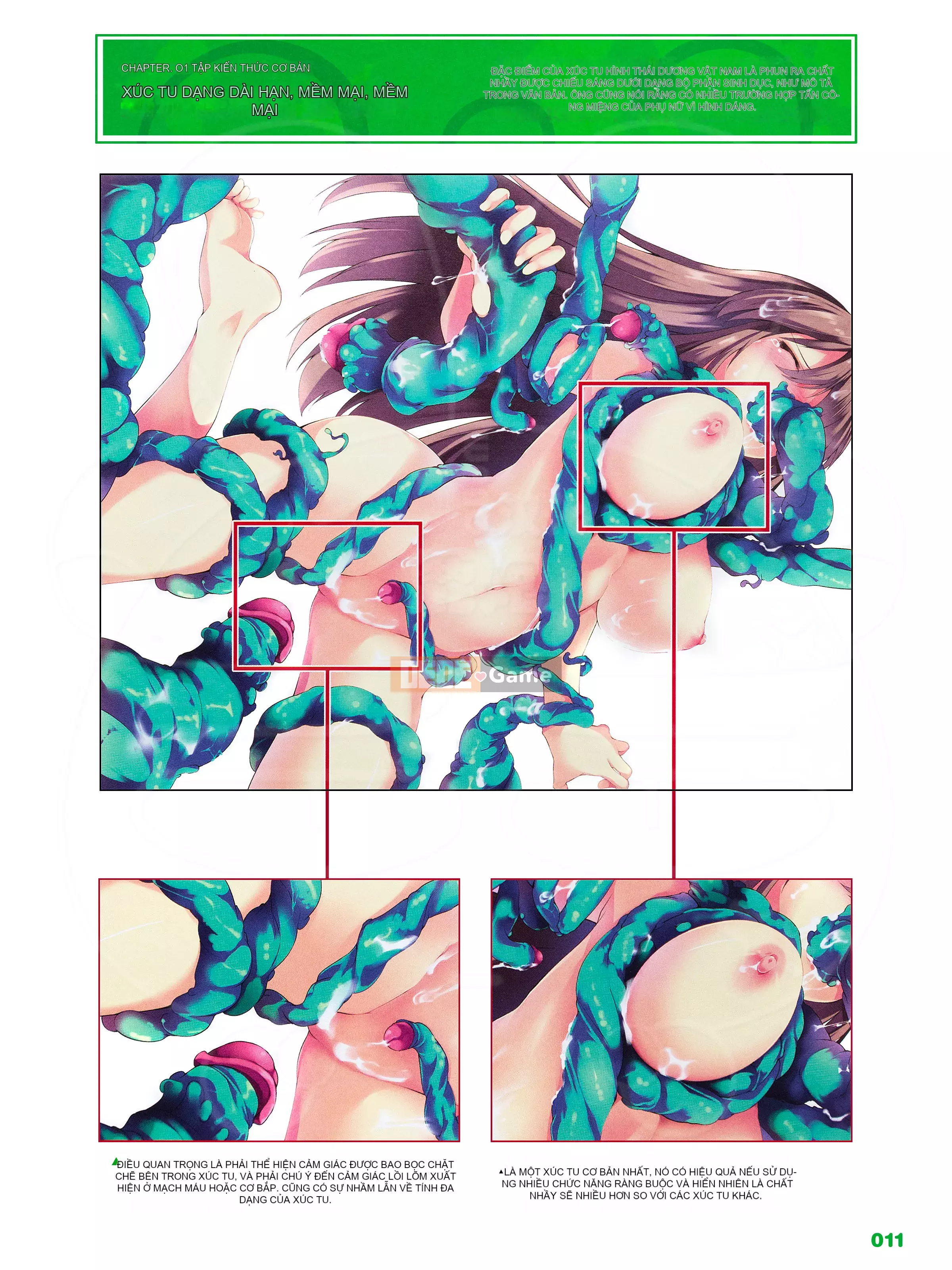 [Ichijinsha] Cách vẽ xúc tu