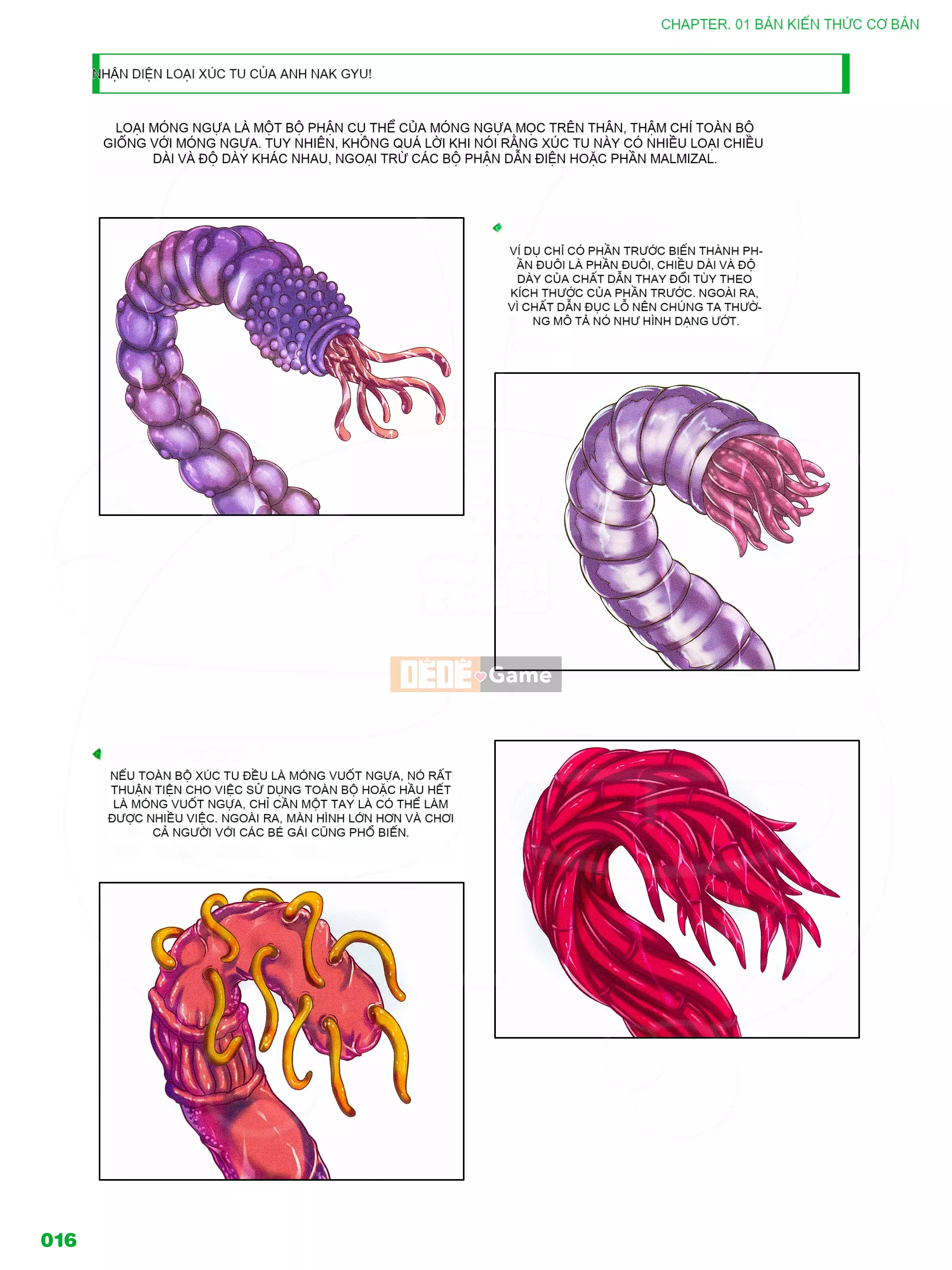 [Ichijinsha] Cách vẽ xúc tu