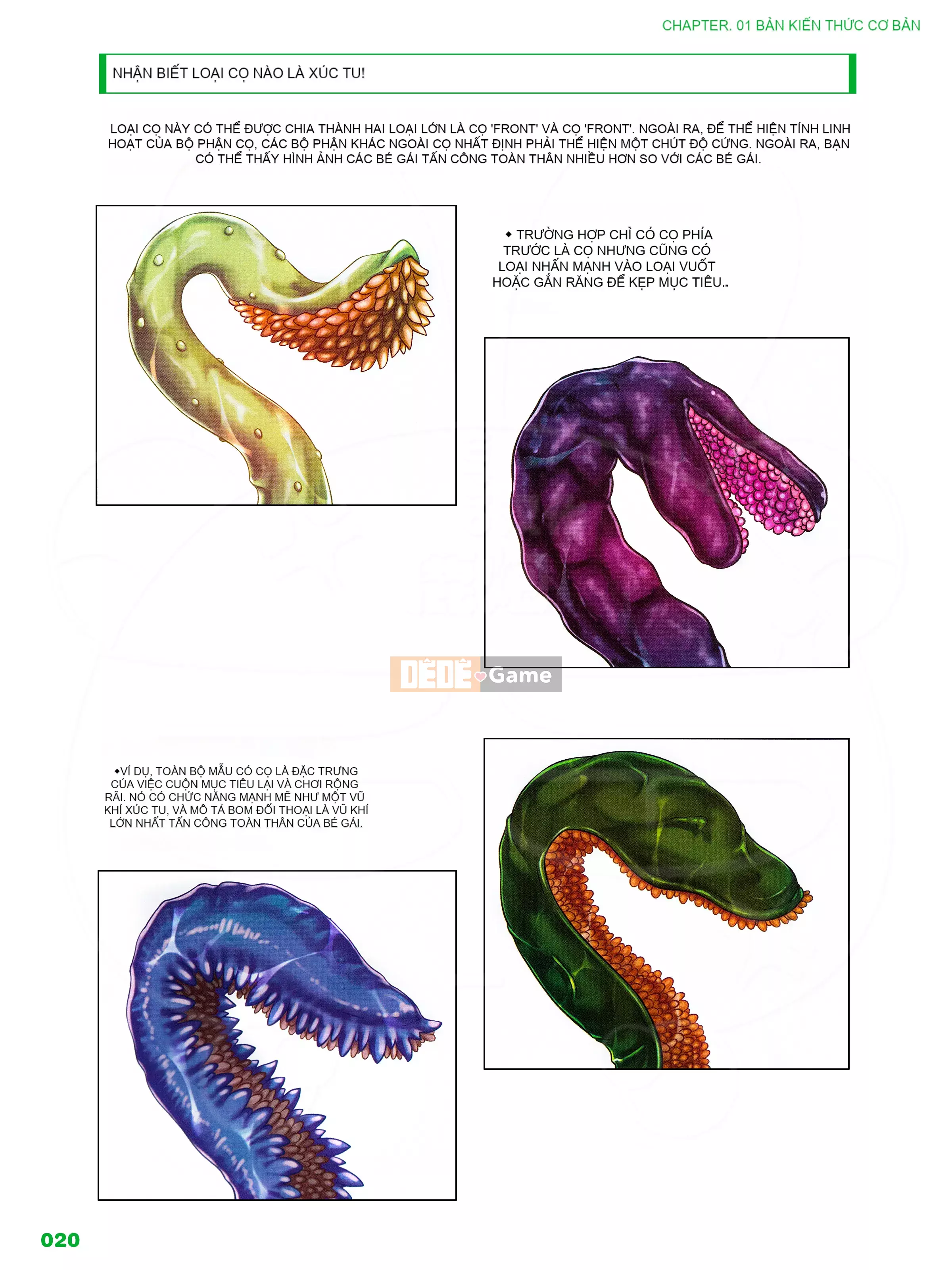 [Ichijinsha] Cách vẽ xúc tu