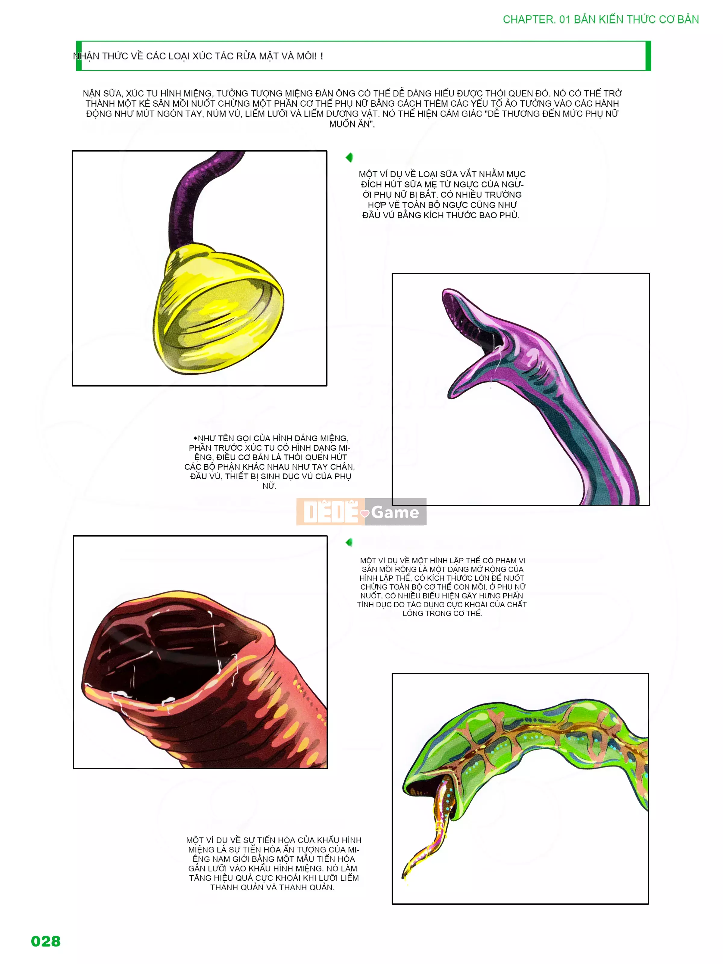 [Ichijinsha] Cách vẽ xúc tu