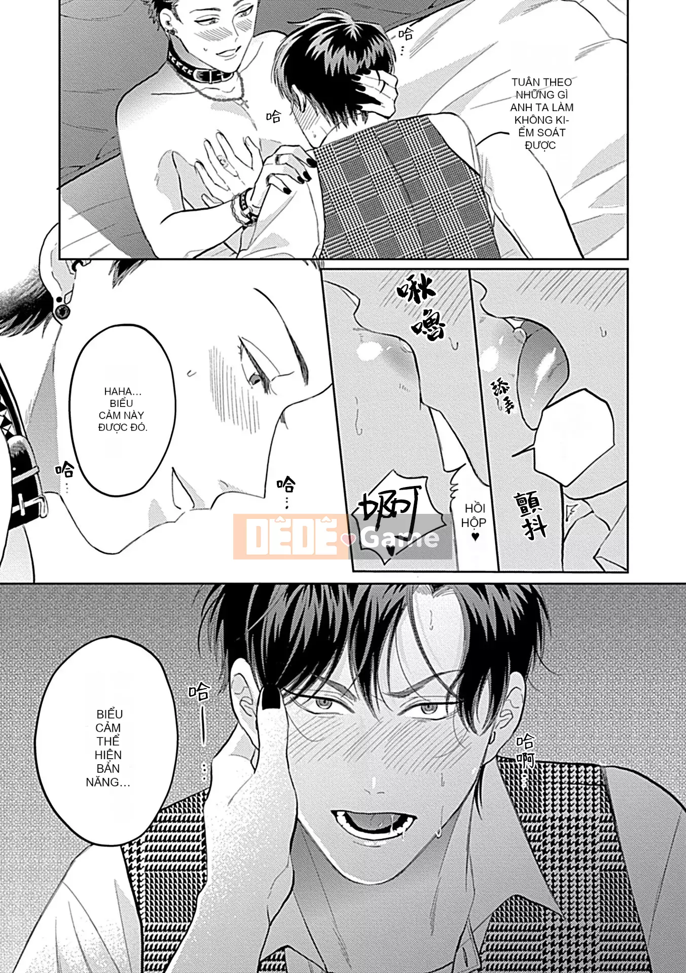 [Tuyển tập] Vũ trụ DomSub BL