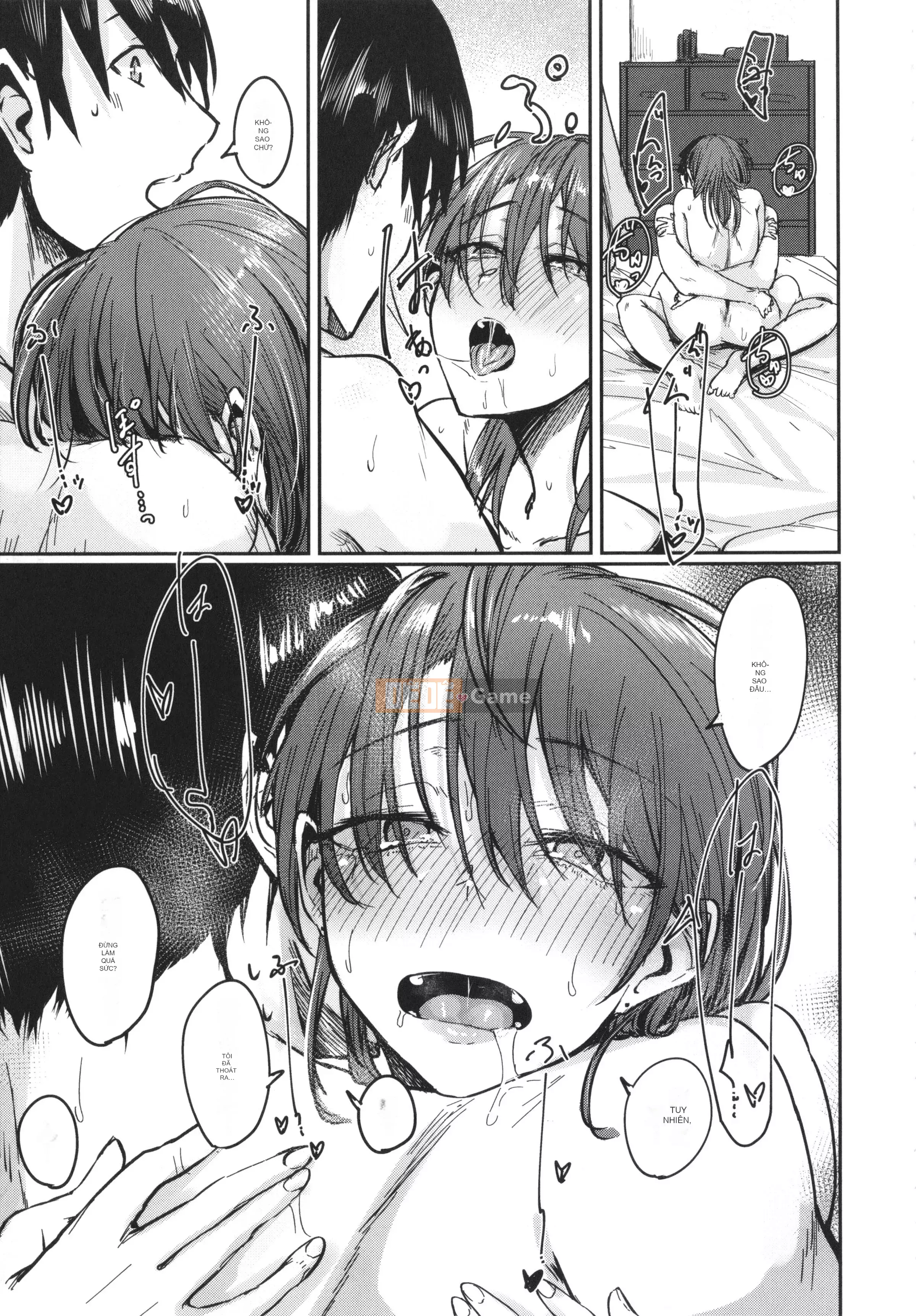 [Shiragiku] Koisho + Thẻ minh họa