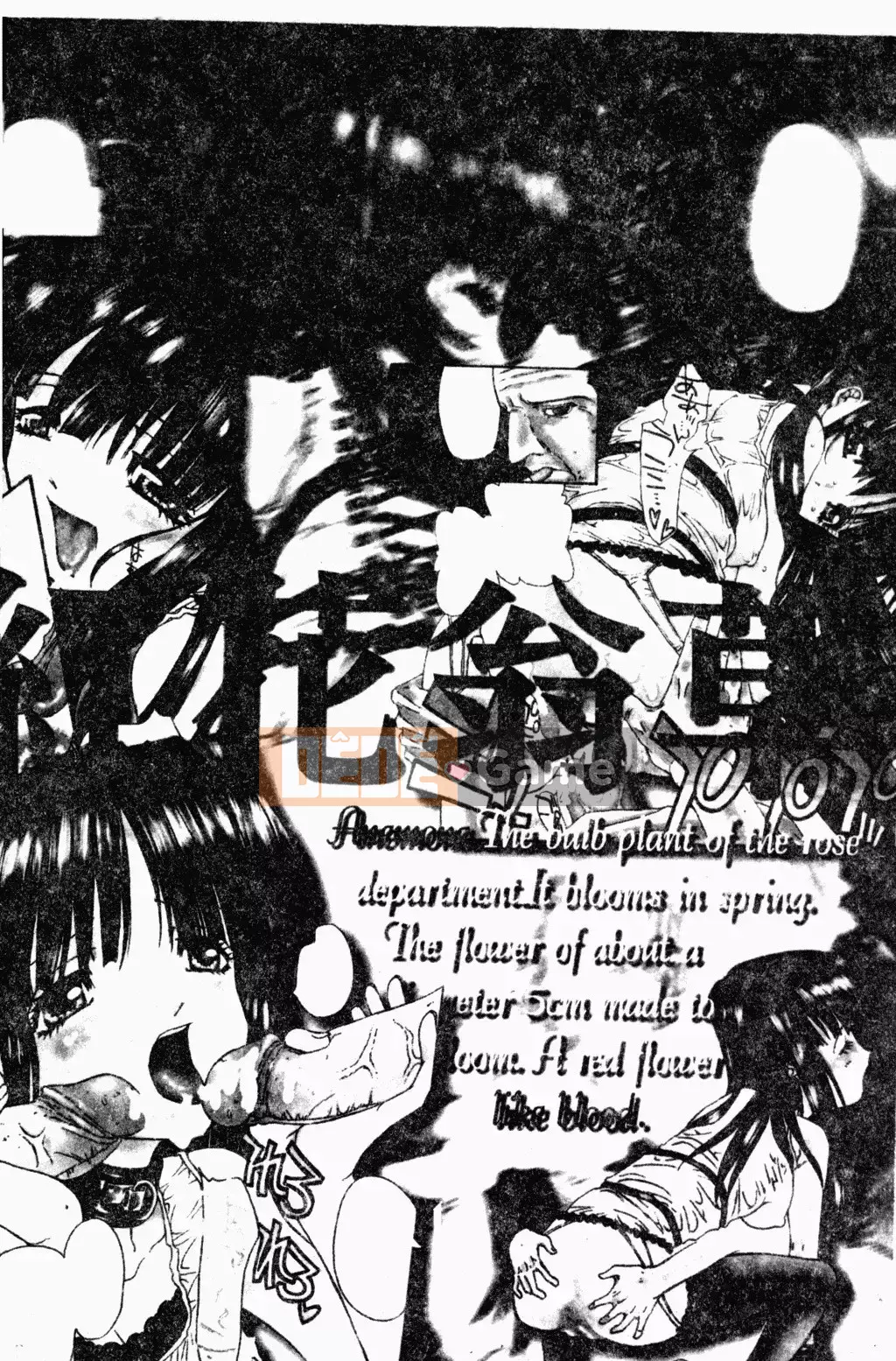 [Kojiki Ouji] Hải quỳ ~ Cỏ rum |