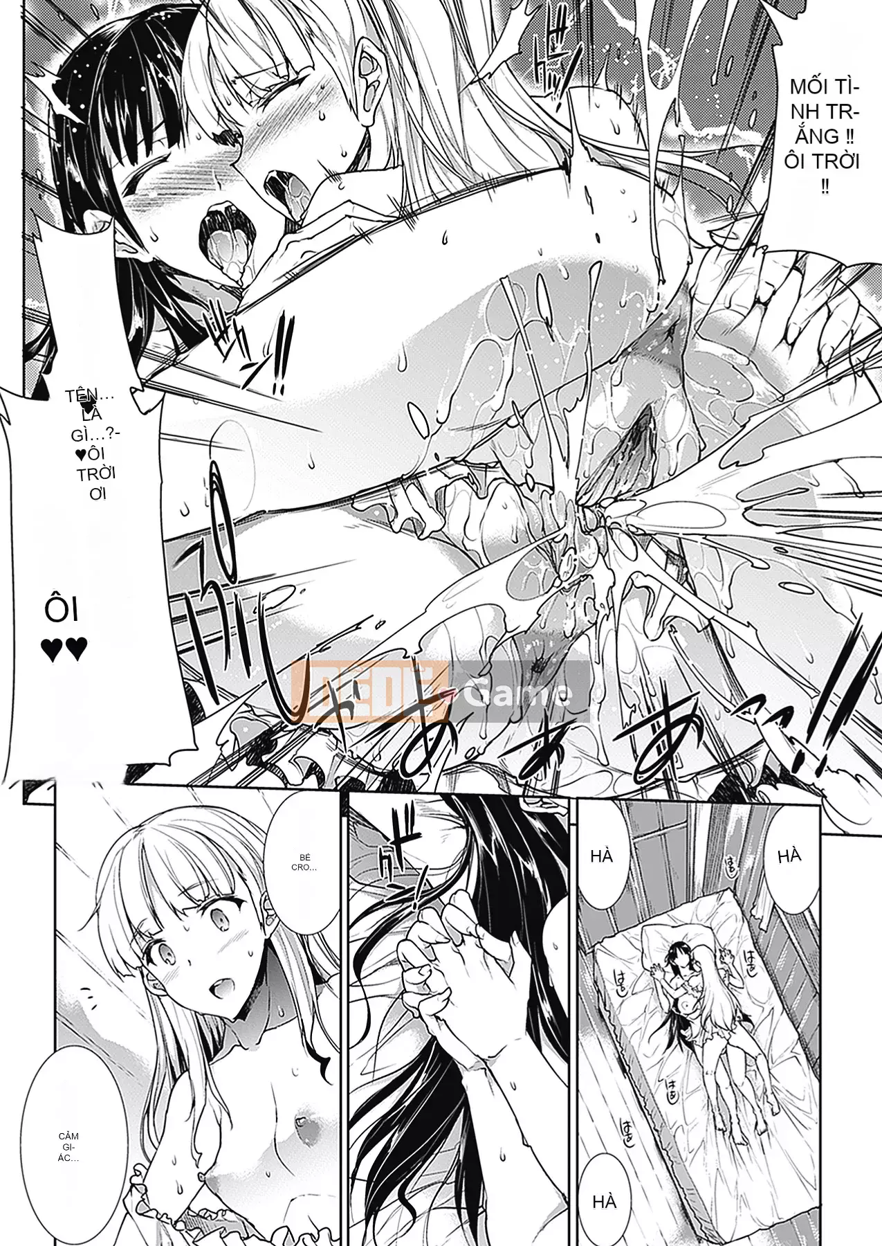 [Elect Touch] PANDRA - White Desire, Black Hope - Ⅱ