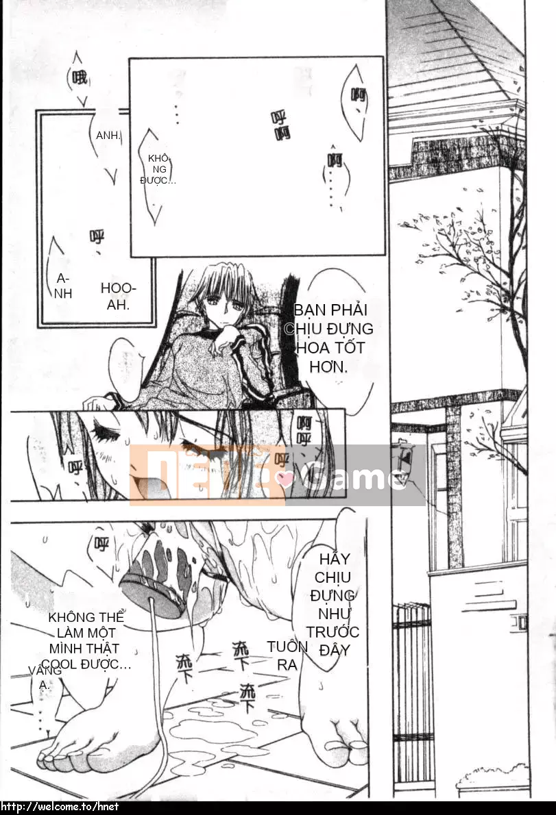 [Kojiki Ouji] Cashmere [Trung Quốc]