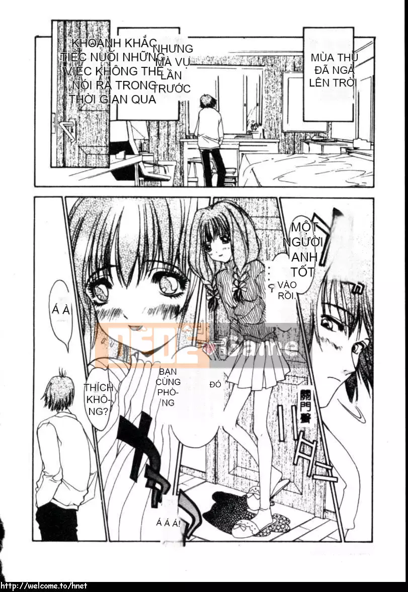 [Kojiki Ouji] Cashmere [Trung Quốc]