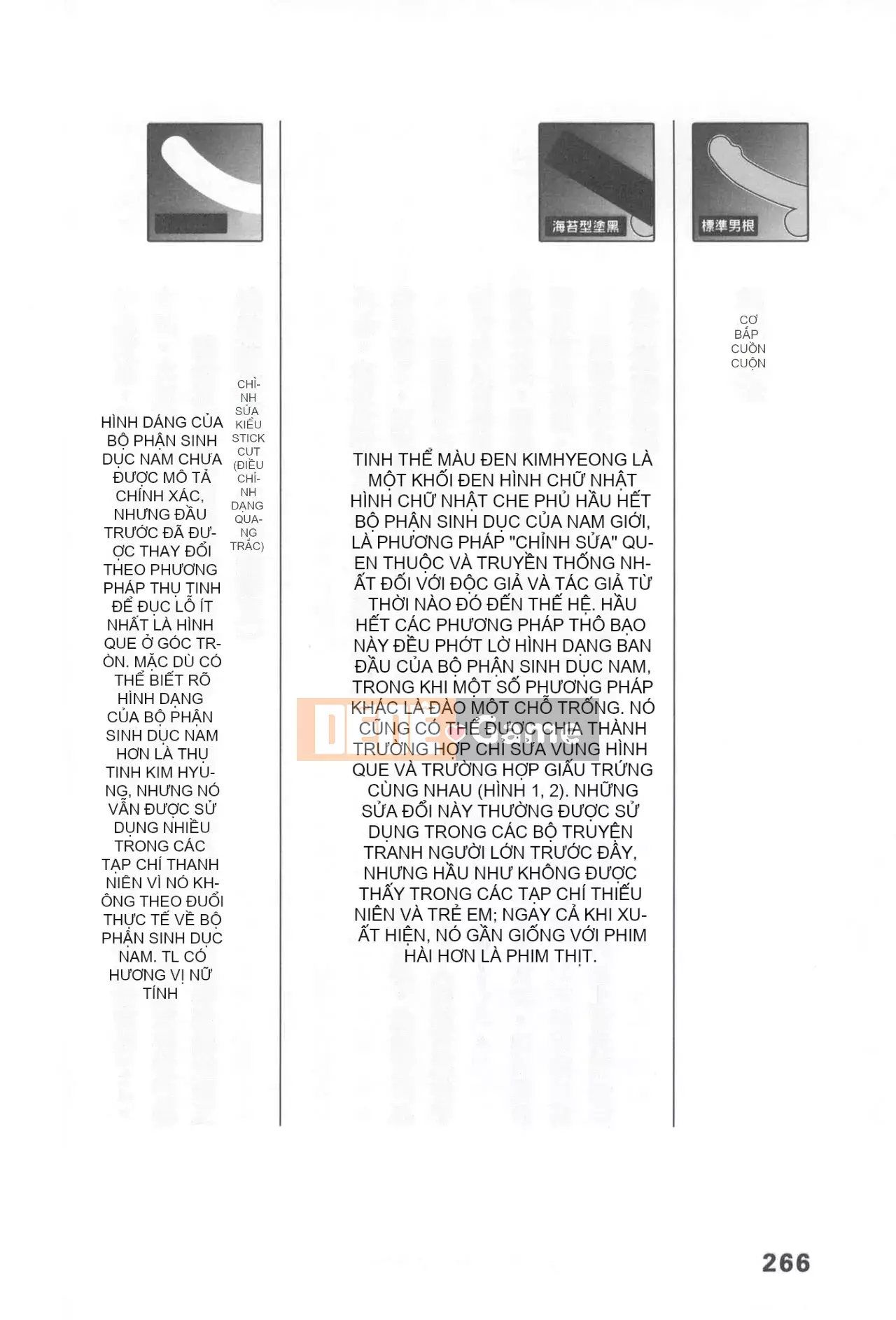 [Rare View Rito] Lịch sử biểu hiện của Eromanga [Lịch sử biểu hiện của Manga dành cho người lớn]